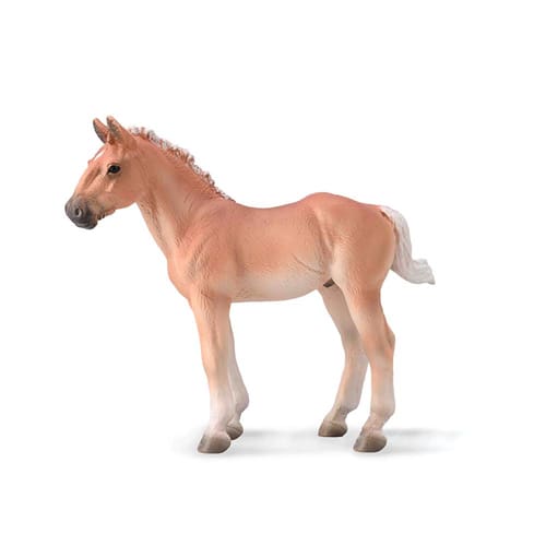 Noriker Foal Flaxen Chestnut