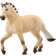 Norwegian Fjord Horse Mare