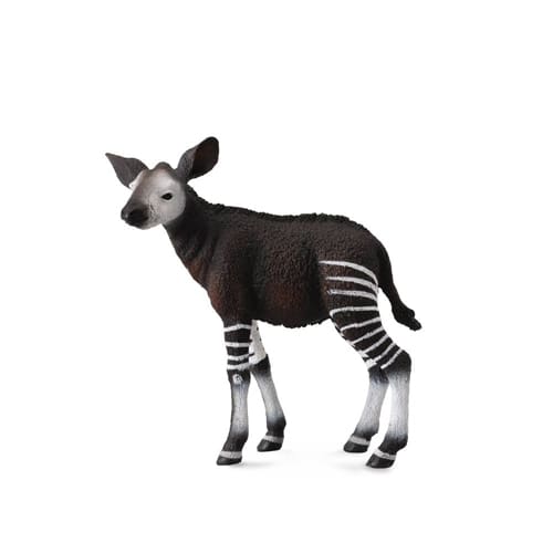 Okapi Calf
