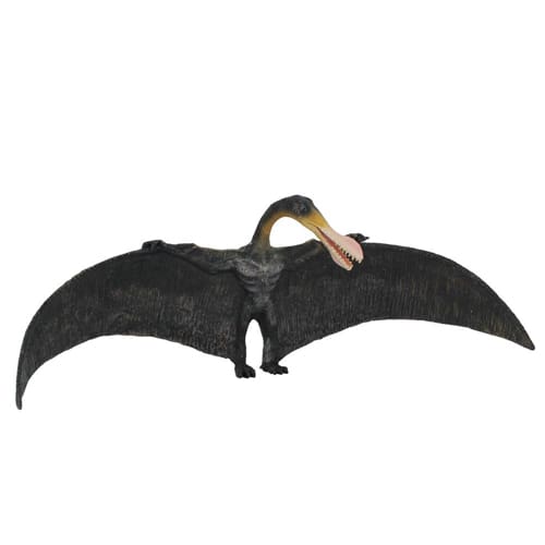 Ornithocheirus