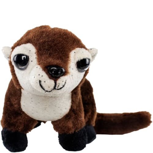 Otter Oakley (Small)