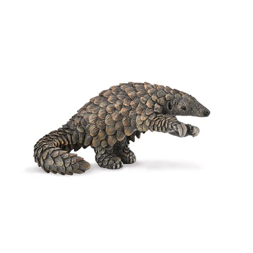 Pangolin