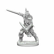 Pathfinder Deep Cuts Unpainted Miniatures (W1) - Human Male Fighter