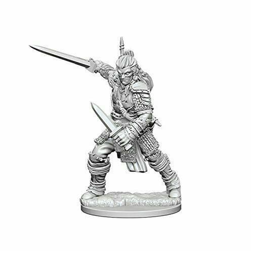 Pathfinder Deep Cuts Unpainted Miniatures (W1) - Human Male Fighter