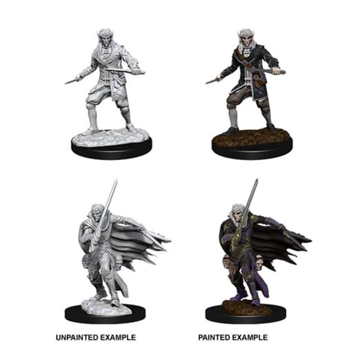 Pathfinder Deep Cuts Unpainted Miniatures (W10) - Male Elf Rogue
