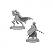 Pathfinder RPG: Deep Cuts Unpainted Miniatures: Elf Male Paladin (Wave 2)