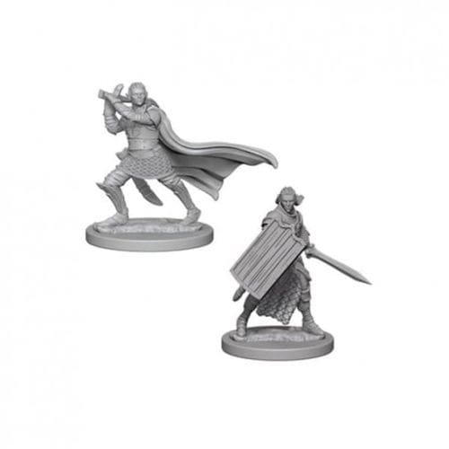 Pathfinder RPG: Deep Cuts Unpainted Miniatures: Elf Male Paladin (Wave 2)