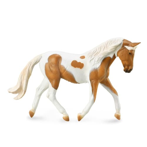 Pinto Mare â€“ Palomino