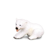 Polar Bear Cub Sitting