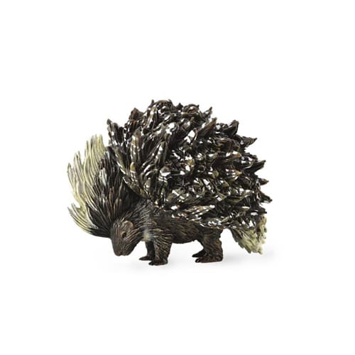 Porcupine (Indian Porcupine)