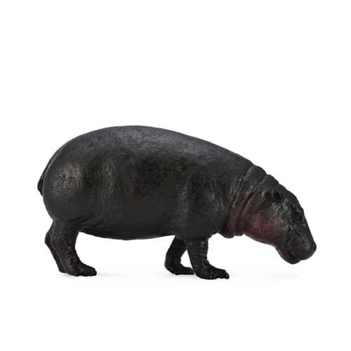 Pygmy Hippopotamus
