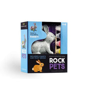 Rabbit Rock Pets Painting Set
