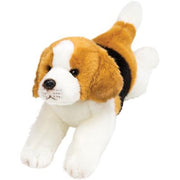 Resting Beagle