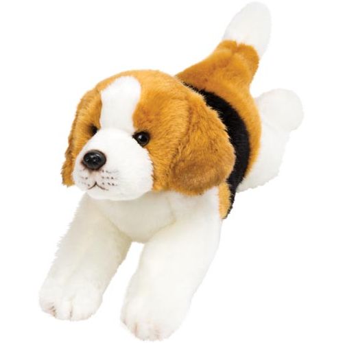 Resting Beagle