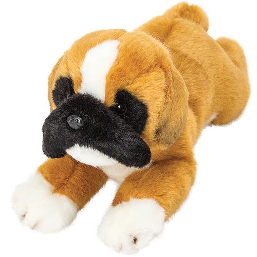 Resting Boxer