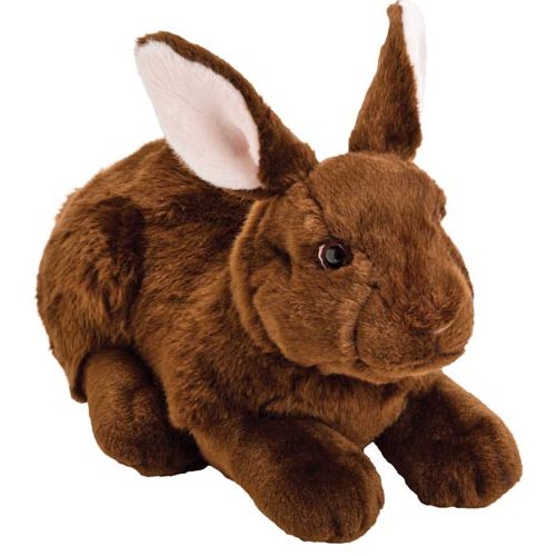 Resting Dark Brown Rabbit