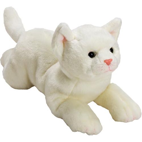 Resting White Cat