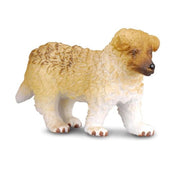 Rough Haired Collie Puppy