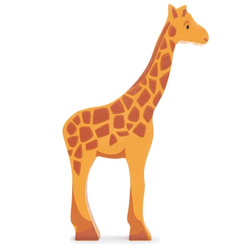 Safari - Giraffe