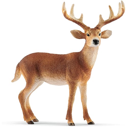 Schleich White-tailed Buck