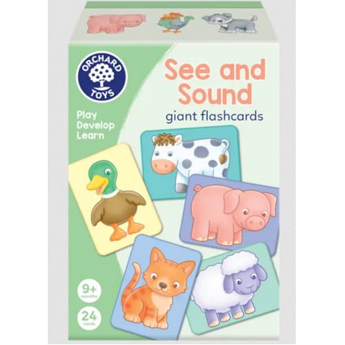 See And Sound Flashcards