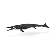 Shastasaurus