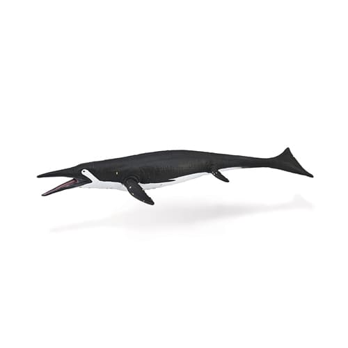Shastasaurus