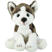 Siberian Husky Small Sitting