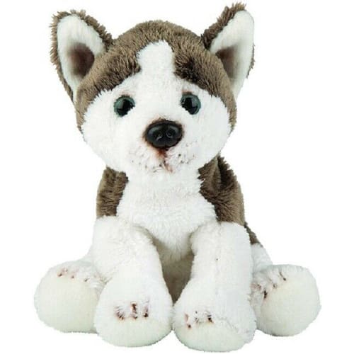 Siberian Husky Small Sitting