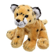 Sitting Cheetah