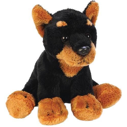 Sitting Doberman