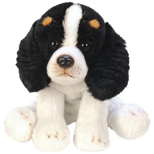 Sitting King Charles Spaniel