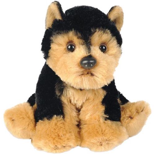 Sitting Yorkshire Terrier