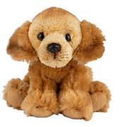 Small Golden Retriever Sitting