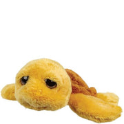 Small Sailor Turtle