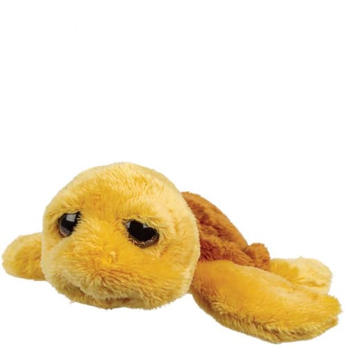 Small Sailor Turtle