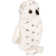Small Snowy Owl