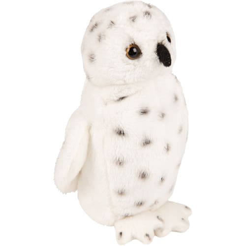 Small Snowy Owl