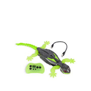 Smart Gecko
