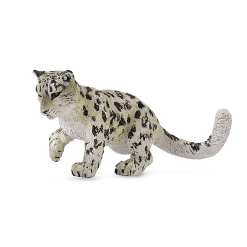 Snow Leopard Cub - Playing