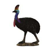 Southern Cassowary