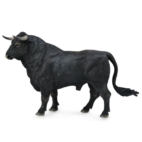 Spanish Fighting Bull- Standing