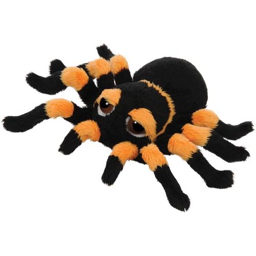 Spindra Tarantula (Small)