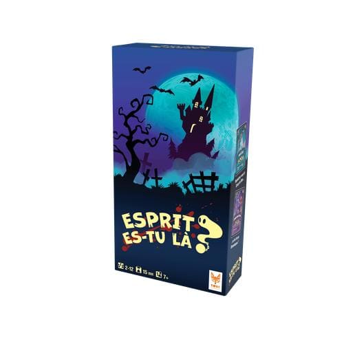 Spirit are you there