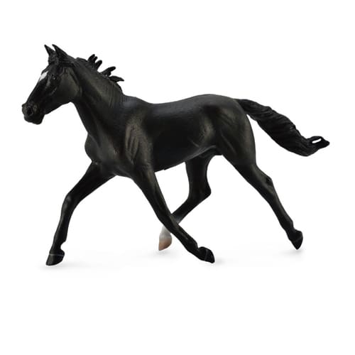 Standardbred Pacer Stallion - Black