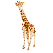 Studio Giraffe 150Cm