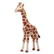 Studio Giraffe, Spotted Blond