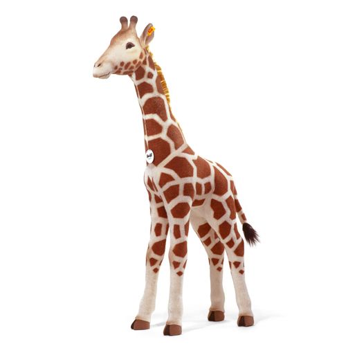 Studio Giraffe, Spotted Blond