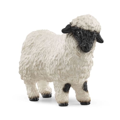 Valais Black-nosed Sheep