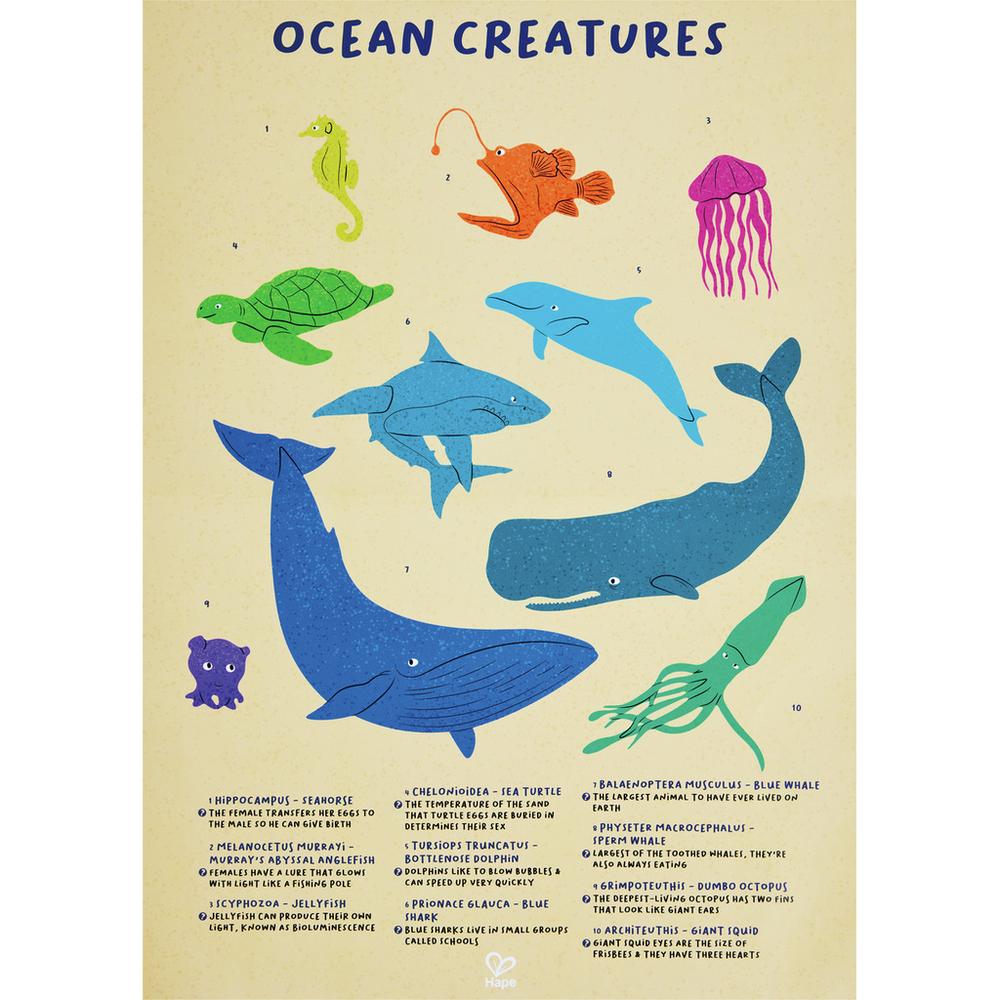 Hape Humpback Whale Shimmer Floor Puzzle_4